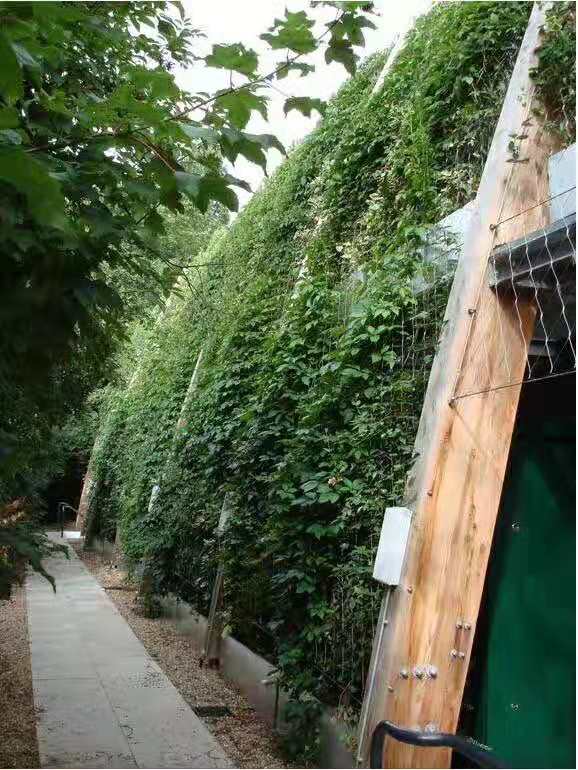 植物攀爬繩網用不銹鋼的優勢